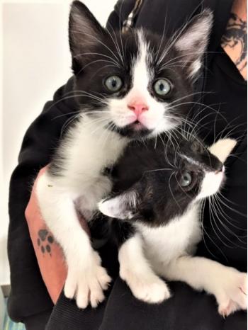 TELEFONISCHE TERMINVEREINBARUNG